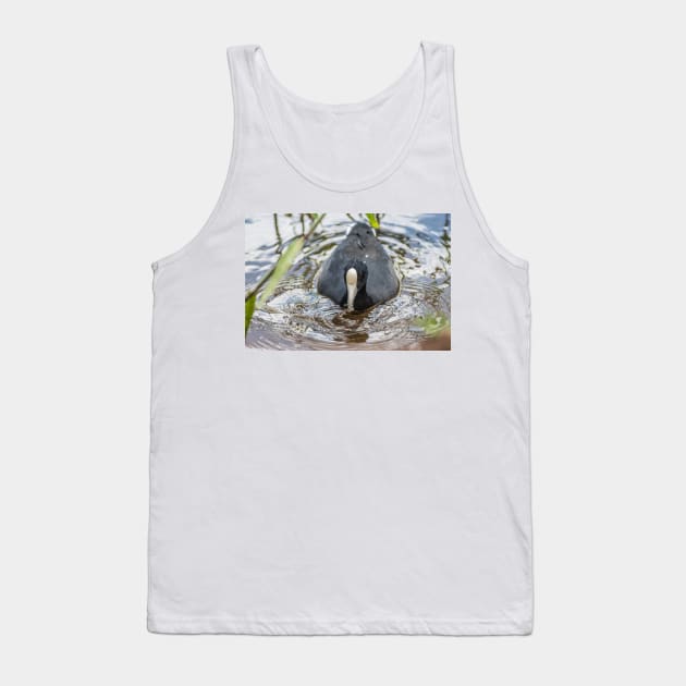 Hawaiian coot in Honolulu 2 Tank Top by KensLensDesigns